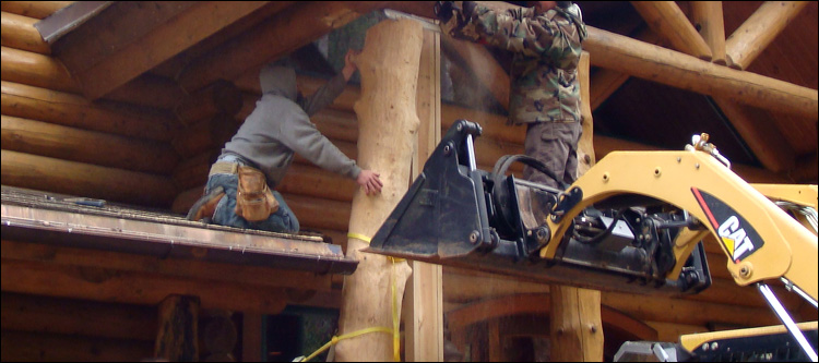Log Home Log Replacement  Knox County, Ohio